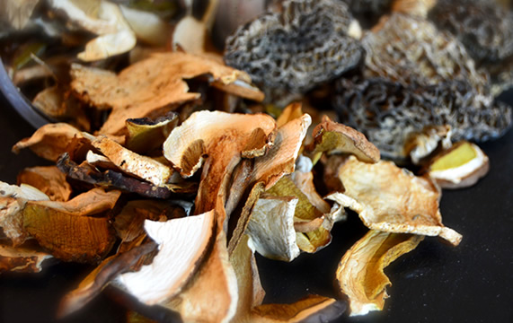 Champignons secs